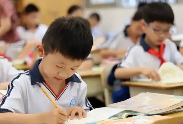 义务教育发展应该遵循效率优先、兼顾公平的原则