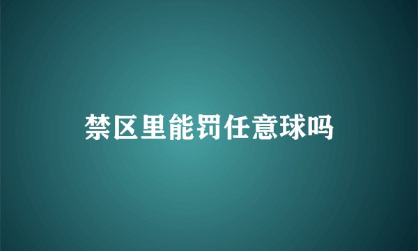 禁区里能罚任意球吗