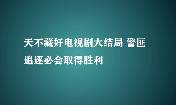 天不藏奸电视剧大结局 警匪追逐必会取得胜利