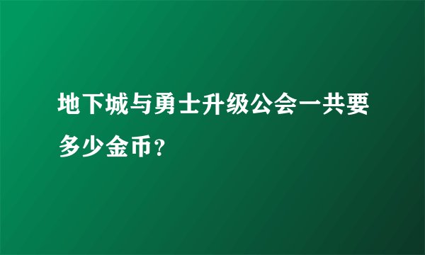 地下城与勇士升级公会一共要多少金币？