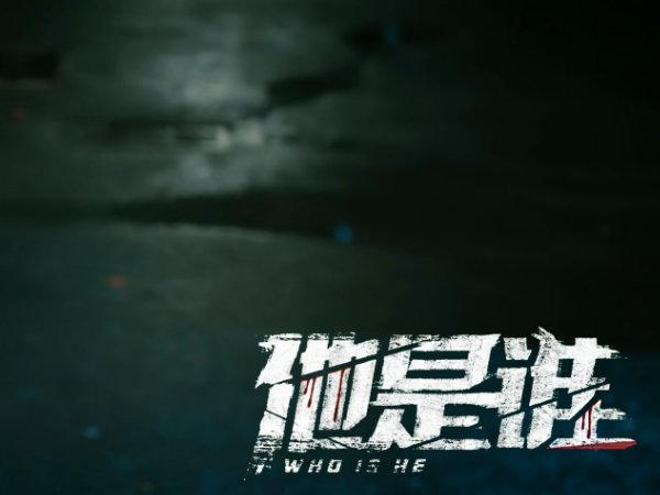 他是谁 剧情介绍分集