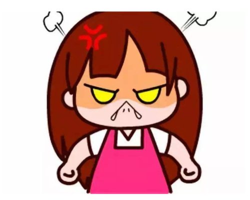 一辆车一只猫一个证书的图片是什么成语