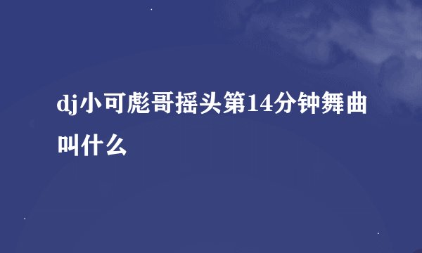 dj小可彪哥摇头第14分钟舞曲叫什么