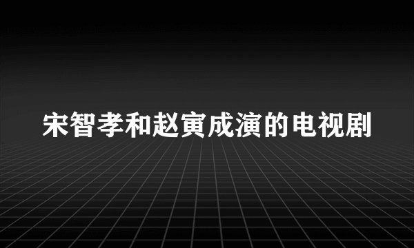 宋智孝和赵寅成演的电视剧