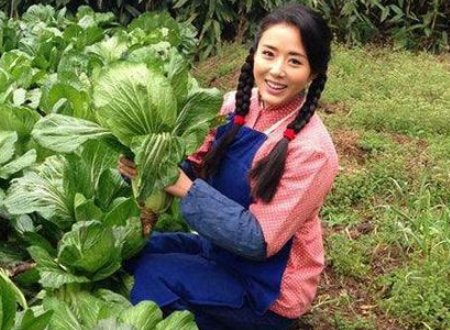 山鸡变凤凰是褒义还是贬义