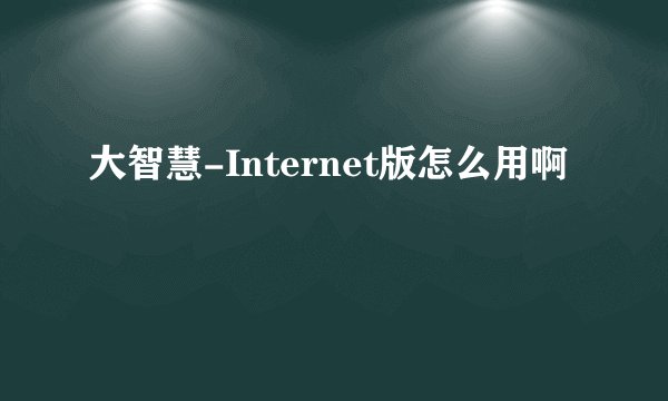 大智慧-Internet版怎么用啊
