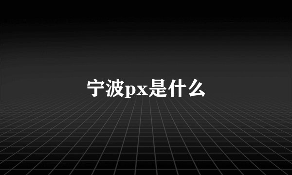 宁波px是什么