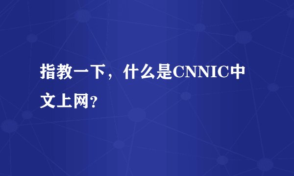 指教一下，什么是CNNIC中文上网？