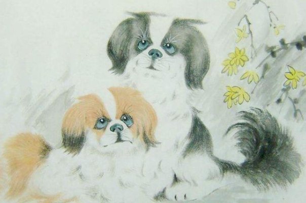 遮风挡雨打一正确生肖