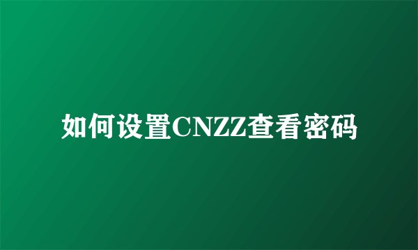 如何设置CNZZ查看密码