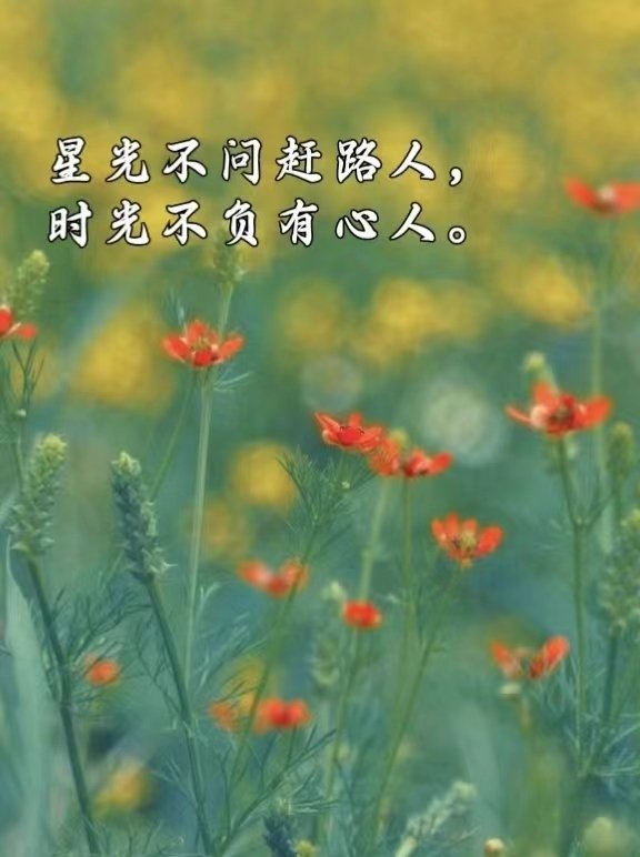 2022年高考安徽省状元是谁？