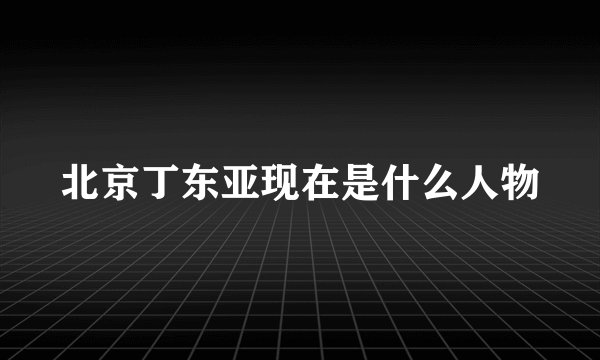 北京丁东亚现在是什么人物