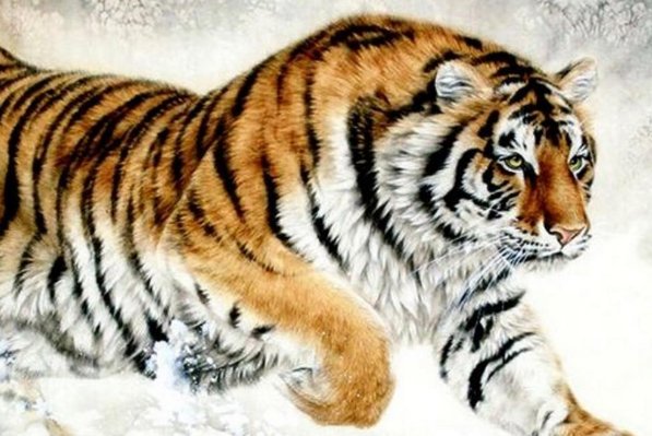 灭门之祸打一动物生肖