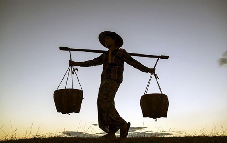 棒棒是什么意思?