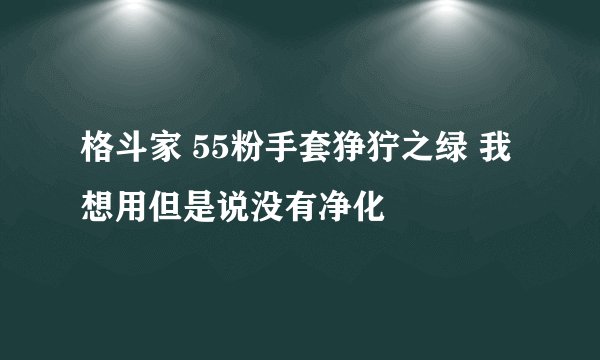 格斗家 55粉手套狰狞之绿 我想用但是说没有净化
