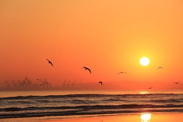 一晌贪欢出自哪里