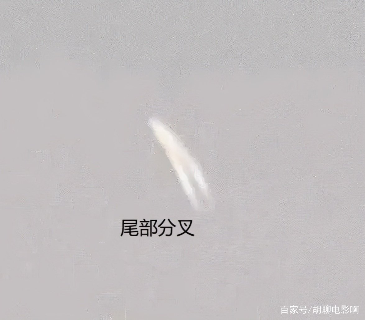 浙江绍兴上空现不明飞行物，这究竟是什么物体？