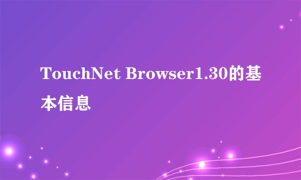 TouchNet Browser1.30的基本信息