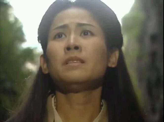 《寻秦记》中项少龙有几个老婆？