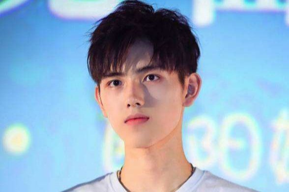 网传罗云熙陈飞宇饰演二哈和他的白猫师尊，你怎么看？