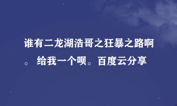 谁有二龙湖浩哥之狂暴之路啊。 给我一个呗。百度云分享
