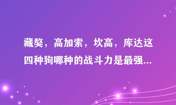 藏獒，高加索，坎高，库达这四种狗哪种的战斗力是最强的 狗中之王又是哪种狗呢