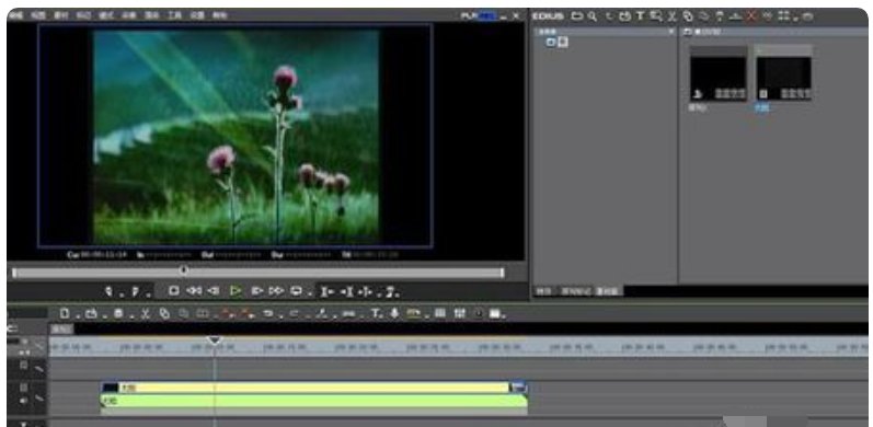 为什么我看不了视频？