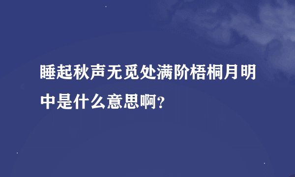 睡起秋声无觅处满阶梧桐月明中是什么意思啊？