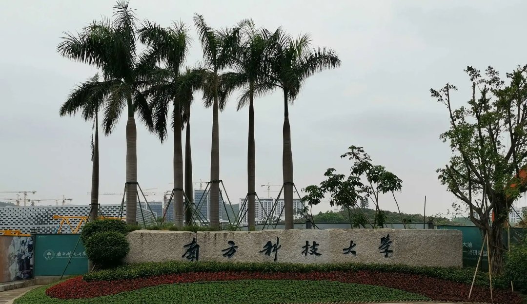 广东南方科技大学分数2022