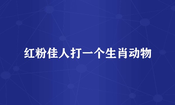 红粉佳人打一个生肖动物