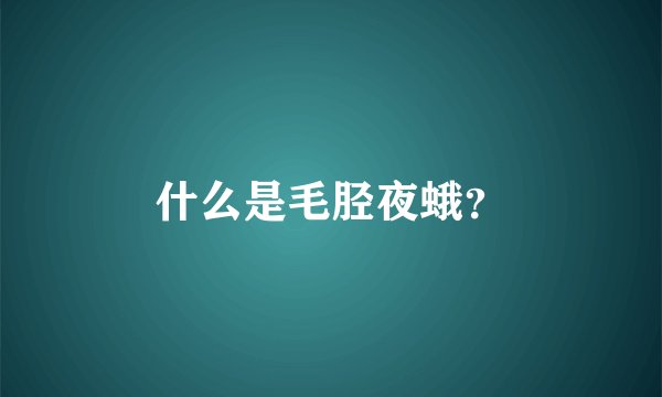 什么是毛胫夜蛾？