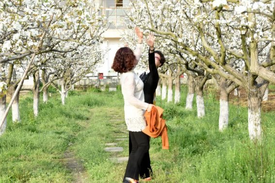 抒怀是什么意思