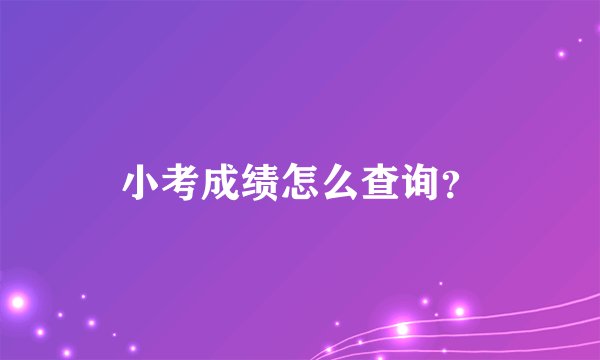 小考成绩怎么查询？