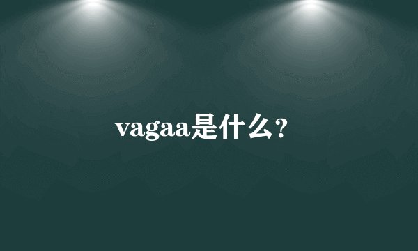 vagaa是什么？