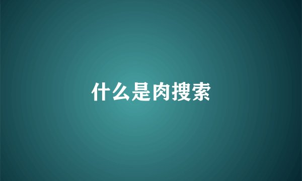 什么是肉搜索