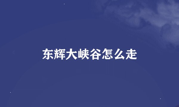 东辉大峡谷怎么走