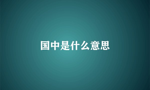 国中是什么意思