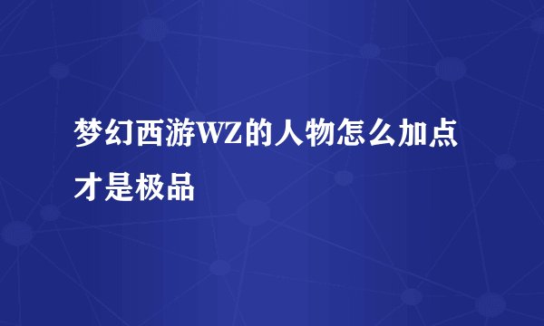 梦幻西游WZ的人物怎么加点才是极品