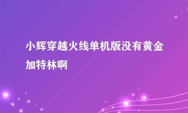 小辉穿越火线单机版没有黄金加特林啊