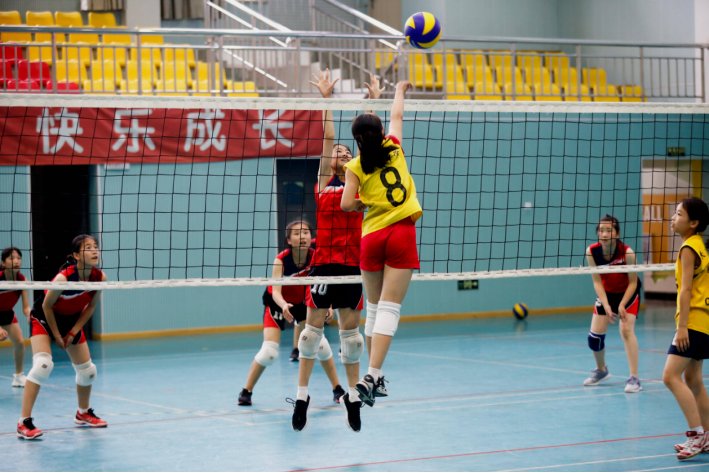 奥运会女排晋级规则