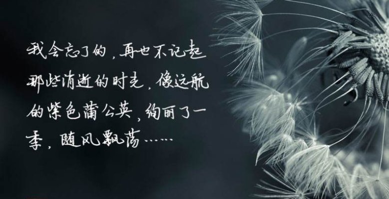 怎样放下一个不值得的男人