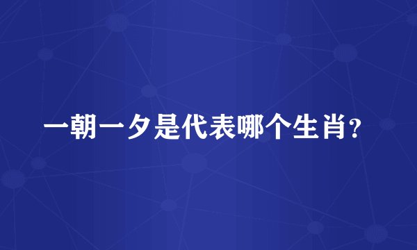 一朝一夕是代表哪个生肖？