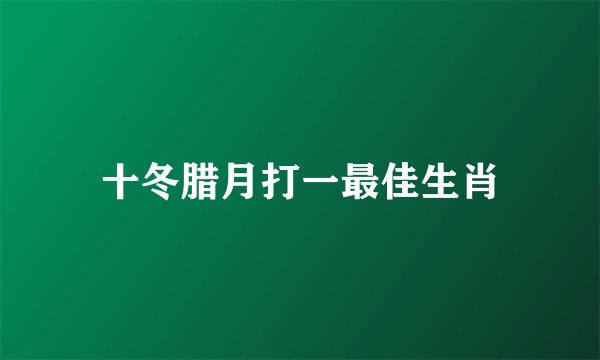 十冬腊月打一最佳生肖