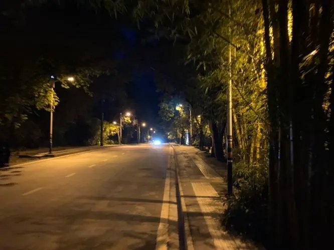 丧尸的弱点是什么？