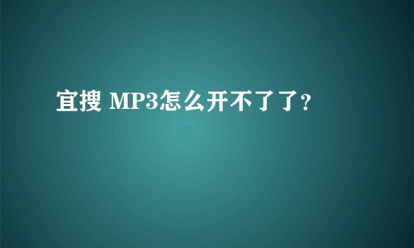 宜搜 MP3怎么开不了了？