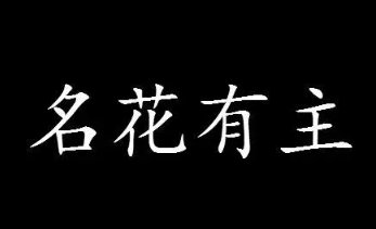 名花有主的意思