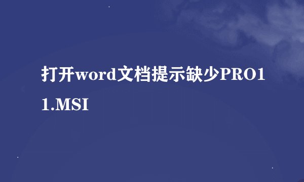 打开word文档提示缺少PRO11.MSI