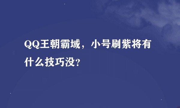 QQ王朝霸域，小号刷紫将有什么技巧没？