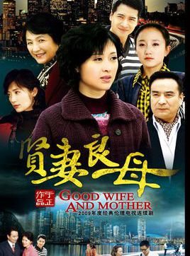 贤妻良母的介绍