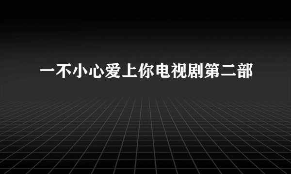 一不小心爱上你电视剧第二部